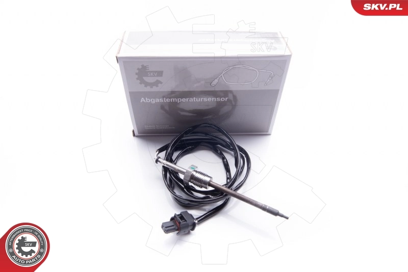 Sensor, exhaust gas temperature